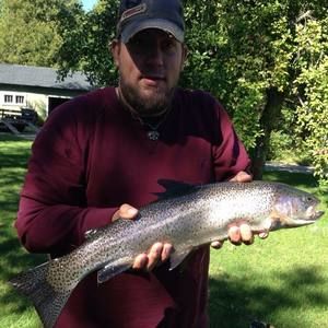 Meet your Posher, Jeffrey